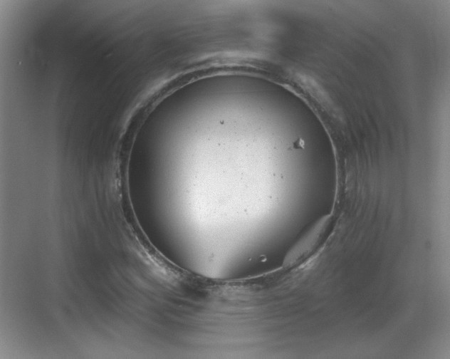 X0000068831164200605081206