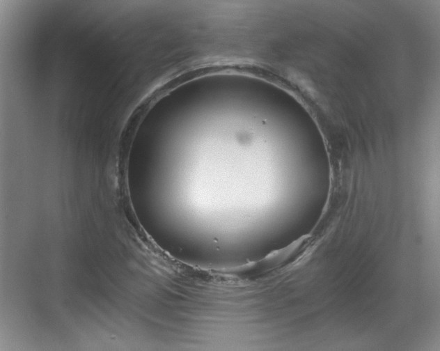 X0000068831165200605081206