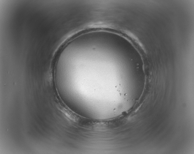 X0000068831167200605081206