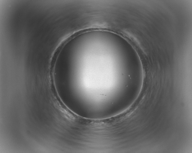 X0000068831168200605081206