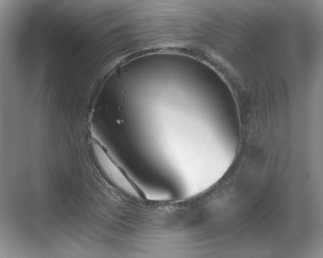 X0000068831169200605081206