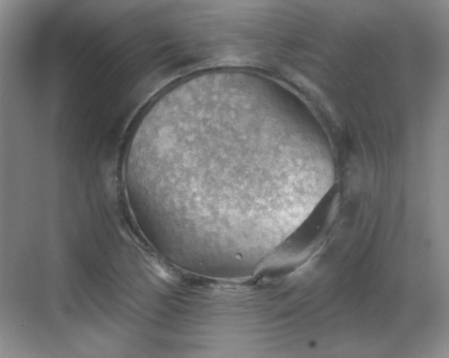 X0000068831170200605081206