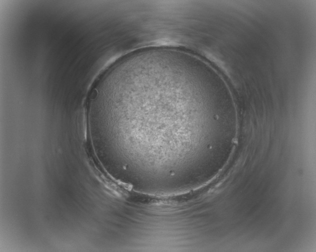 X0000068831171200605081205