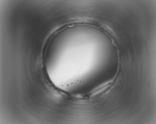 X0000068831172200605081205