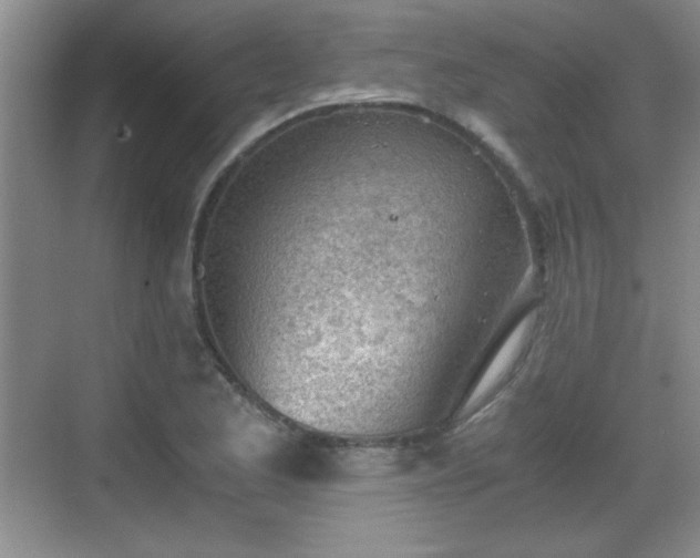 X0000068831173200605081205