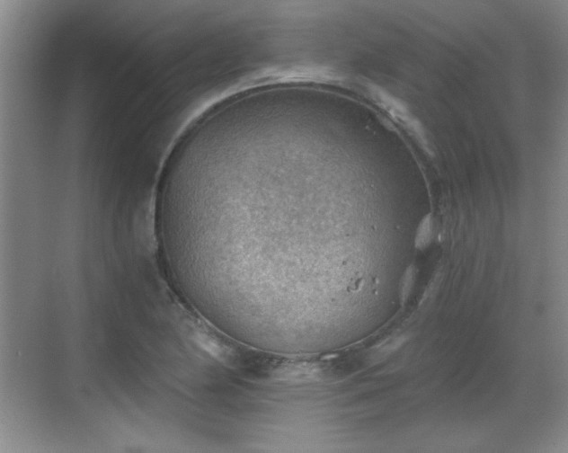 X0000068831174200605081205