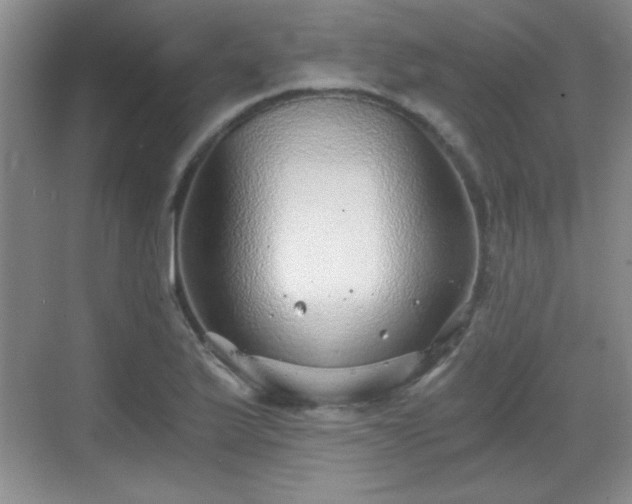 X0000068831175200605081205