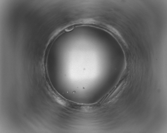 X0000068831176200605081205