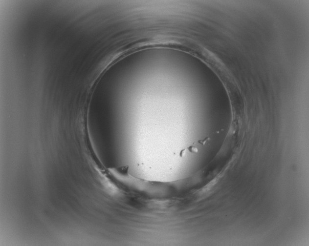 X0000068831177200605081205