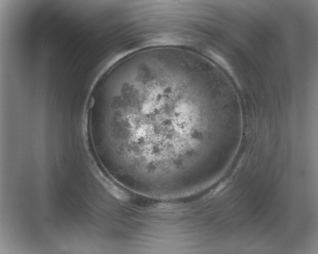 X0000068831179200605081205