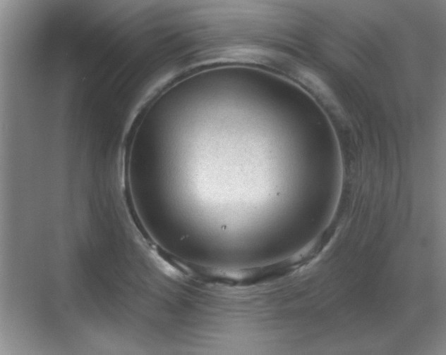 X0000068831180200605081205