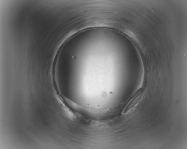 X0000068831181200605081205