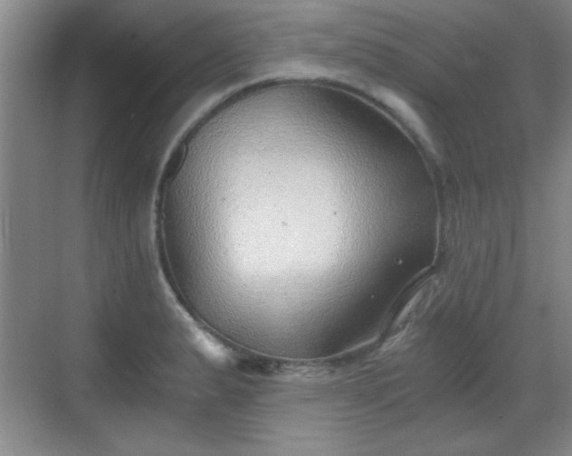 X0000068831183200605081205