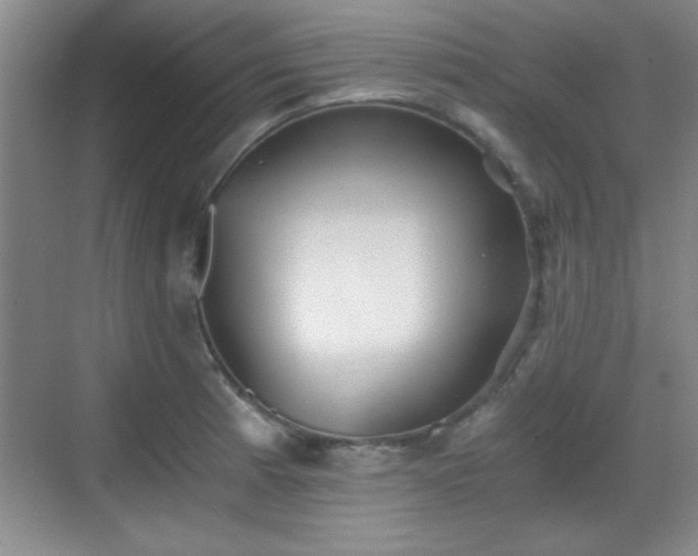 X0000068831185200605081205