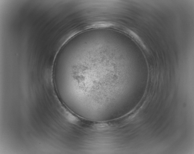 X0000068831186200605081205