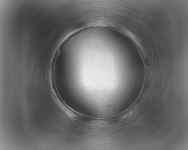 X0000068831187200605081205