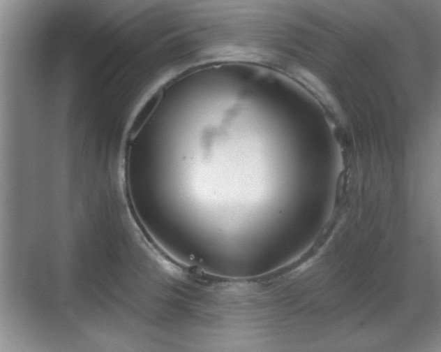 X0000068831188200605081205