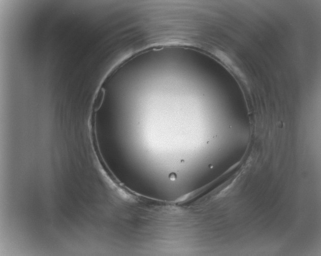 X0000068831189200605081205