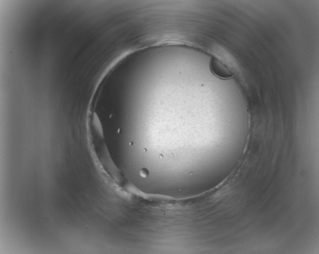 X0000068831190200605081205