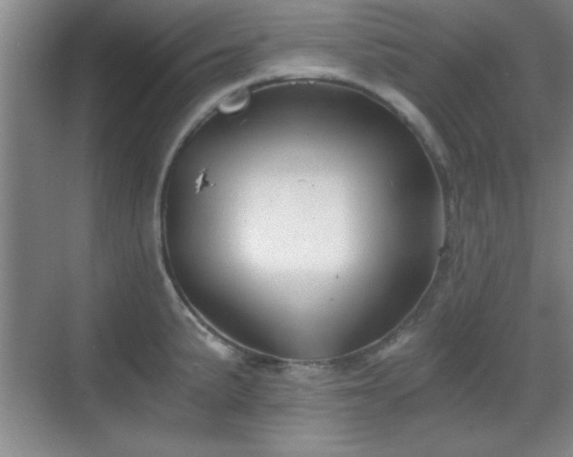 X0000068831191200605081205