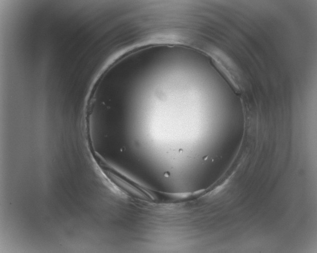 X0000068831192200605081205