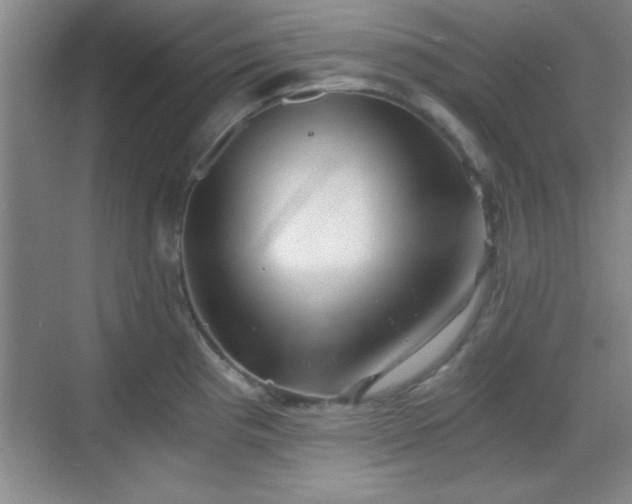 X0000068831193200605081205