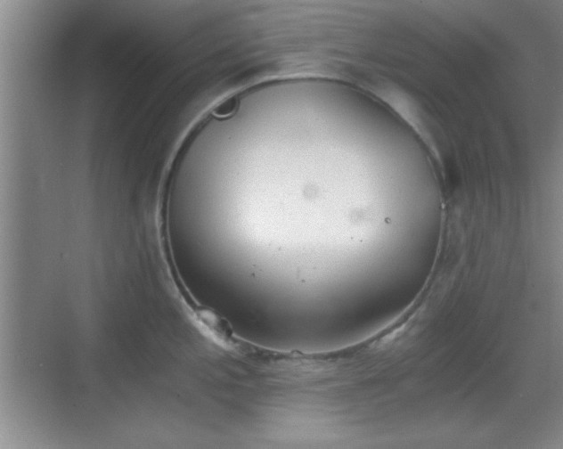 X0000068831197200605081205