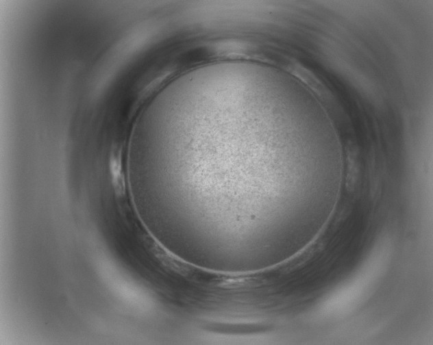 X0000068831198200605081205