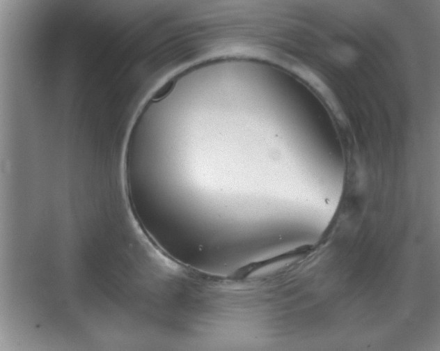 X0000068831199200605081205