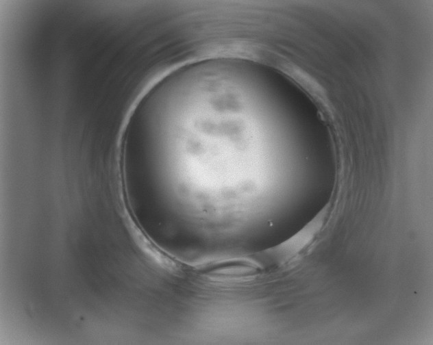 X0000068831200200605081205