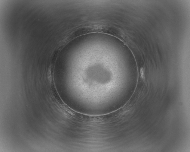 X0000068831203200605081204