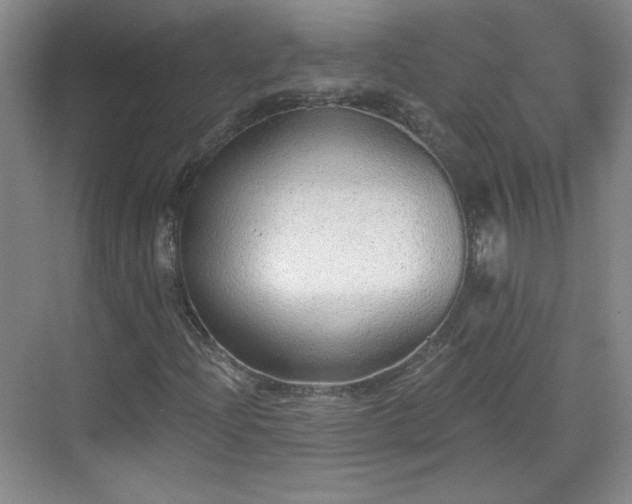 X0000068831204200605081204