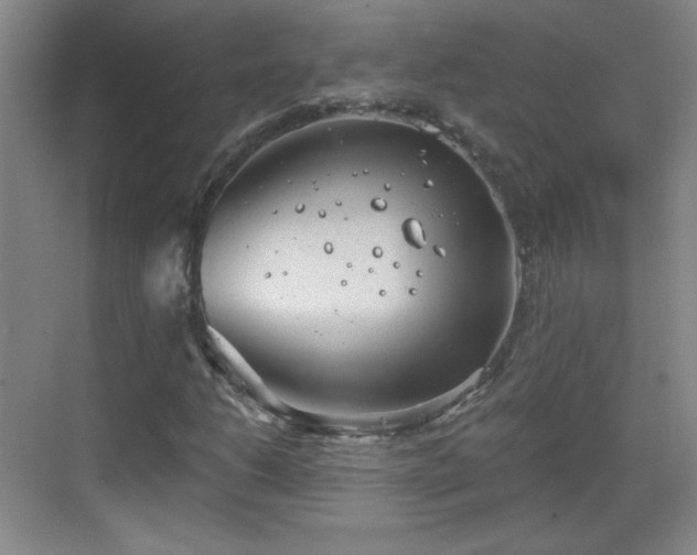 X0000068831206200605081204