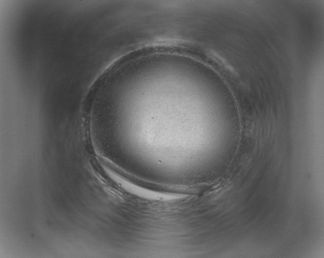 X0000068831208200605081204