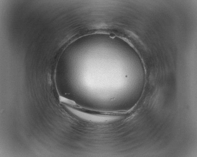 X0000068831209200605081204