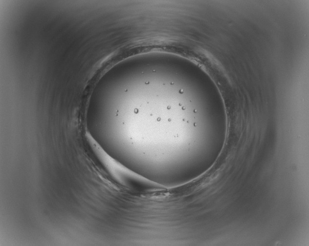 X0000068831210200605081204