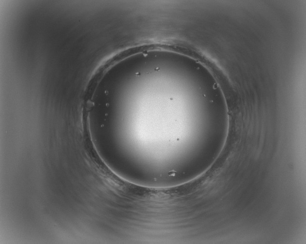 X0000068831214200605081204