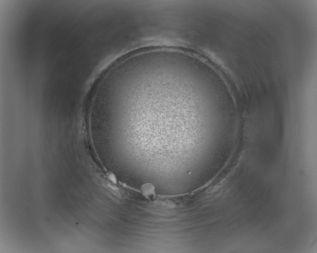 X0000068831215200605081204