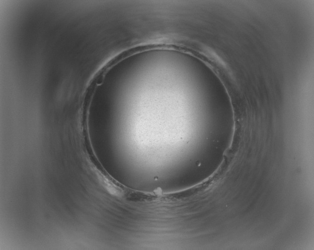 X0000068831216200605081204