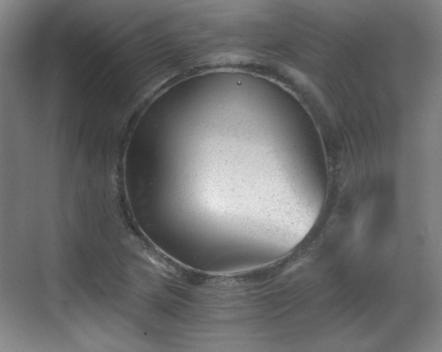 X0000068831217200605081204