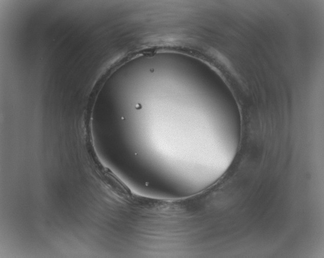 X0000068831218200605081204