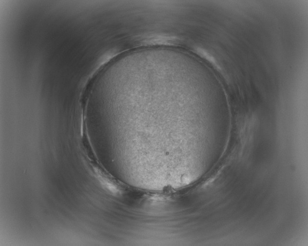 X0000068831219200605081204