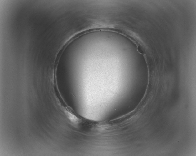 X0000068831220200605081205