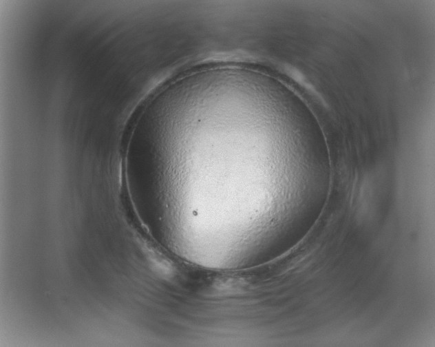 X0000068831221200605081205