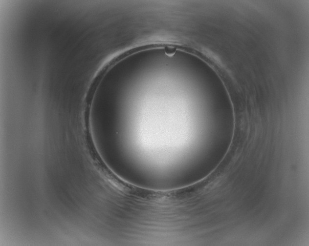 X0000068831222200605081205