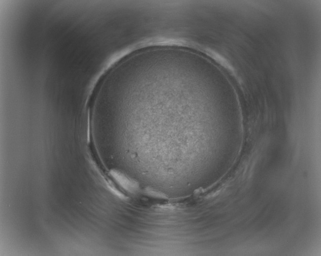 X0000068831223200605081205