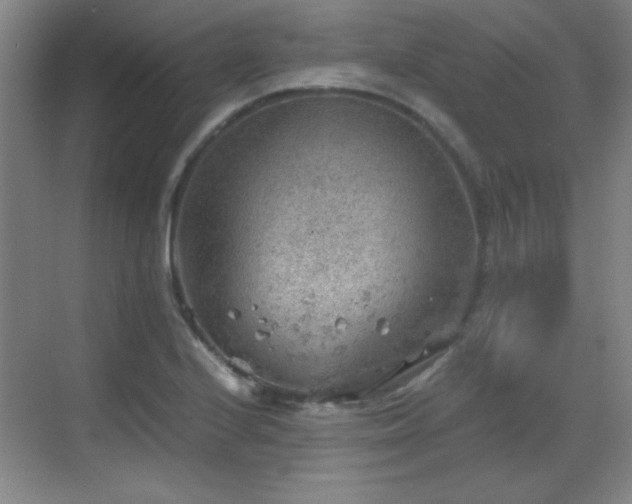 X0000068831224200605081205