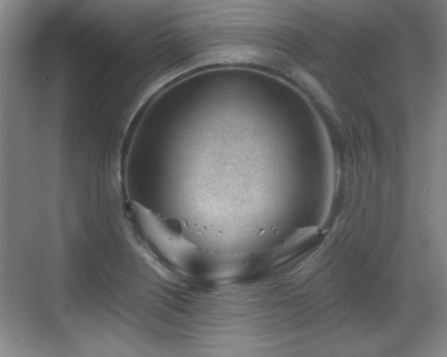 X0000068831226200605081205