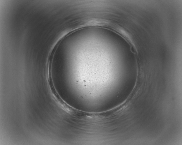 X0000068831227200605081205