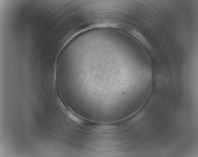 X0000068831228200605081205